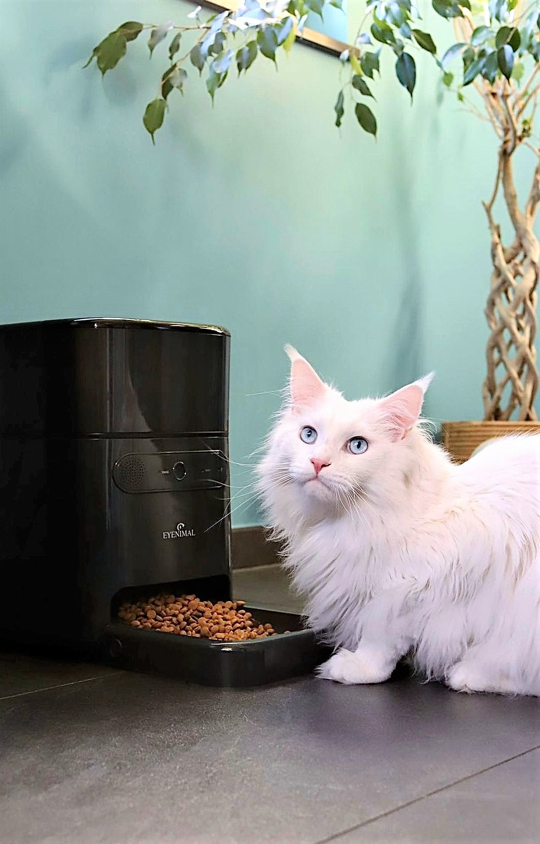 Eyenimal Smart Tiny Pet Feeder