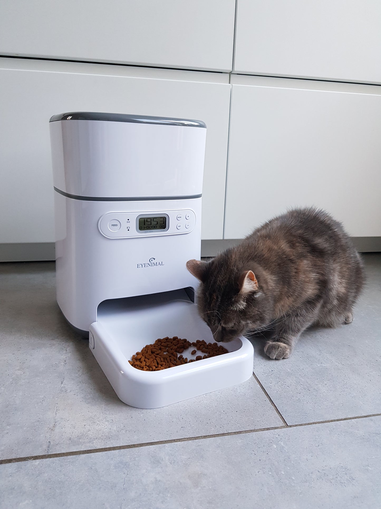 Eyenimal Tiny Pet Feeder