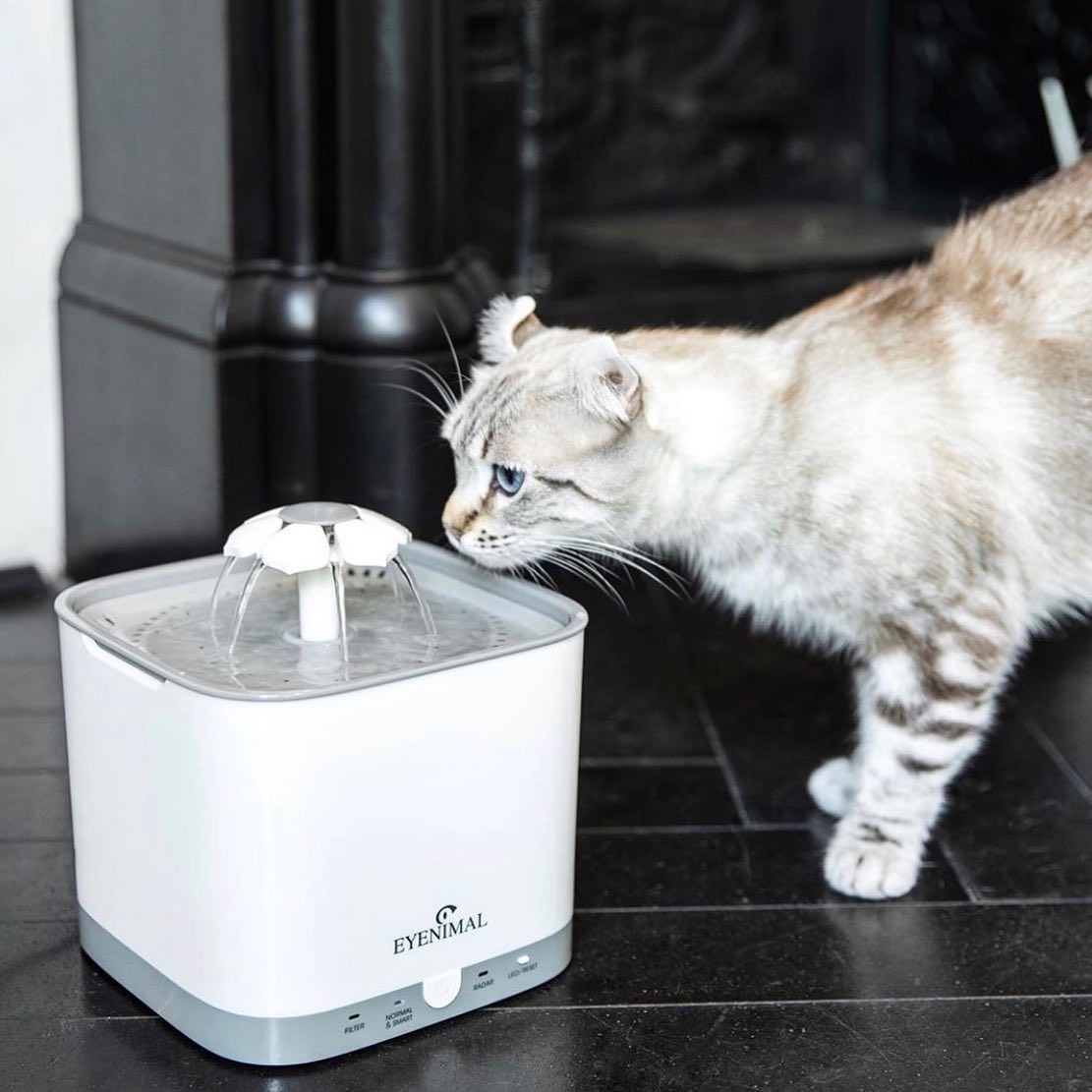 Eyenimal Smart Bloom Pet Fountain